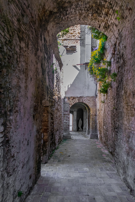 DSC_5571-2