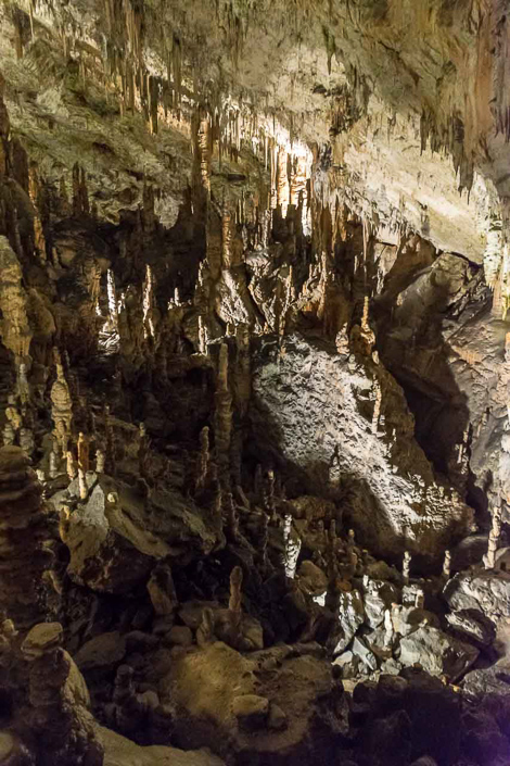 DSC_2995-19