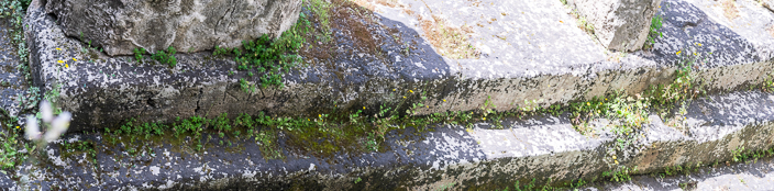 DSC_7549-Pano