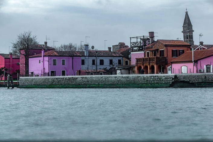 DSC_4244-1
