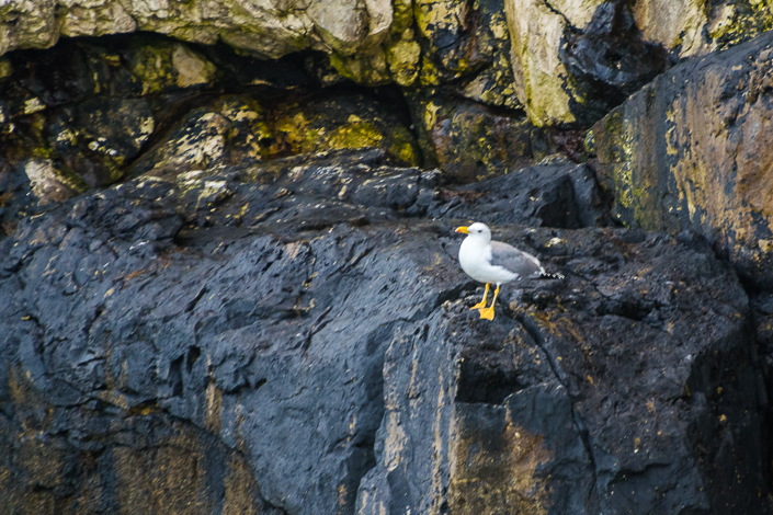 DSC_5902-1