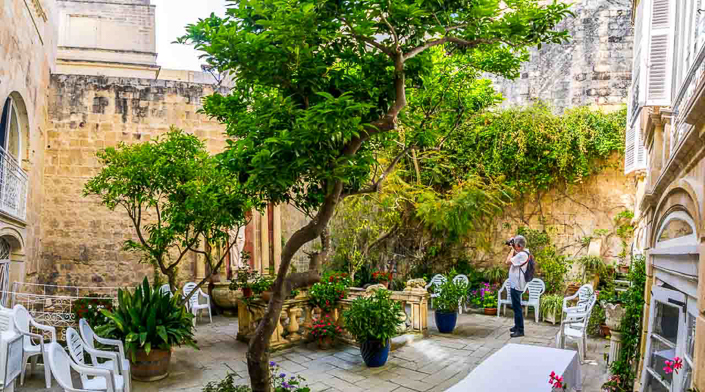 DSC_7862-Pano-1