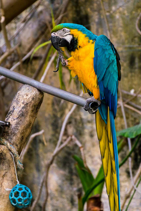 DSC_7936-1