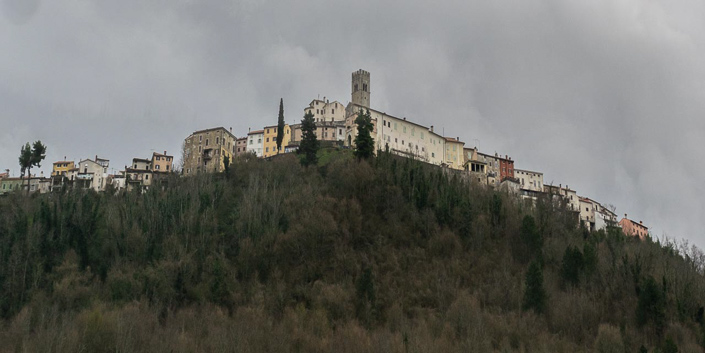 DSC_3370-1
