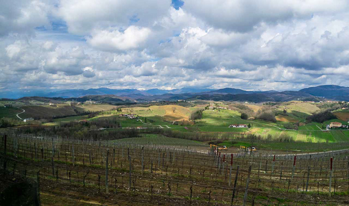 DSC_3720-Pano-1