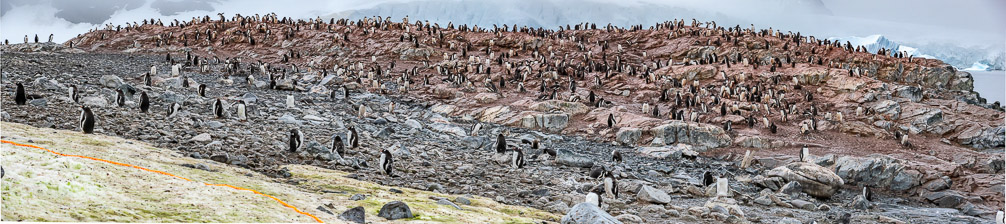 DSC_9025-Pano-1