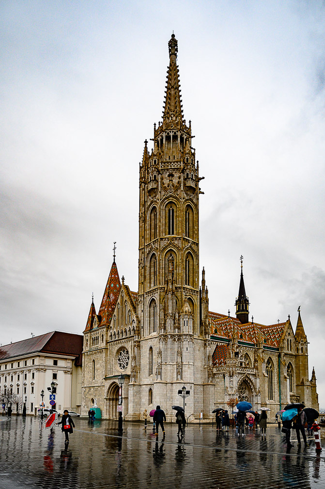 NZ6_2582