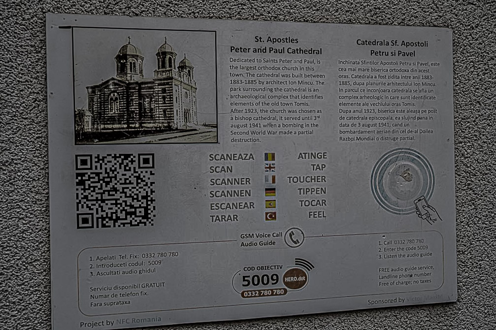 NZ6_0589-1