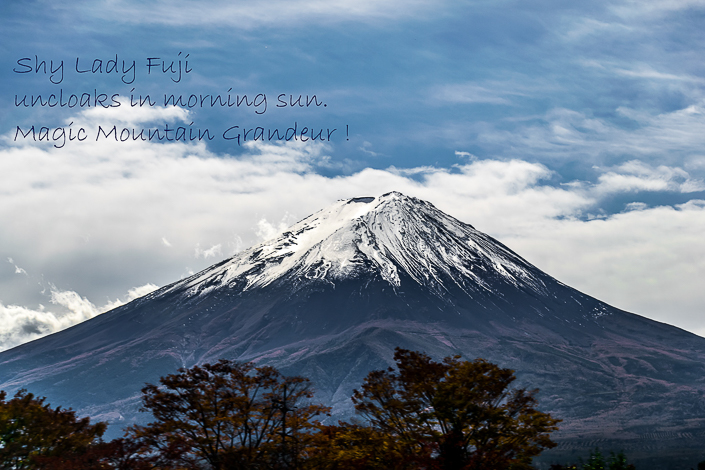 DSC_5115-Edit-1