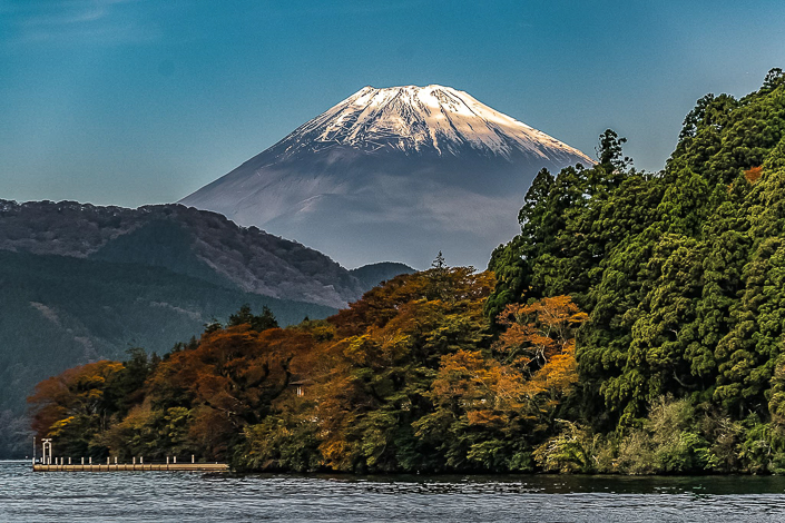 DSC_5595-1-1