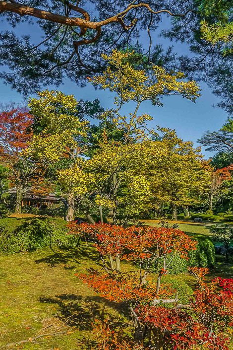 DSC_6180-1-1