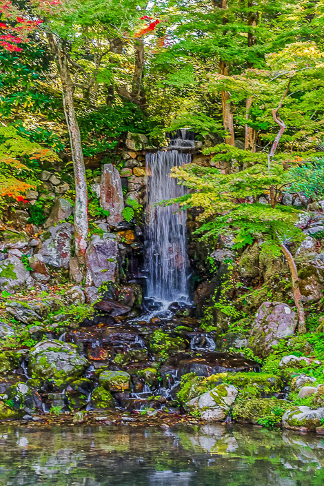 DSC_6195-1-1
