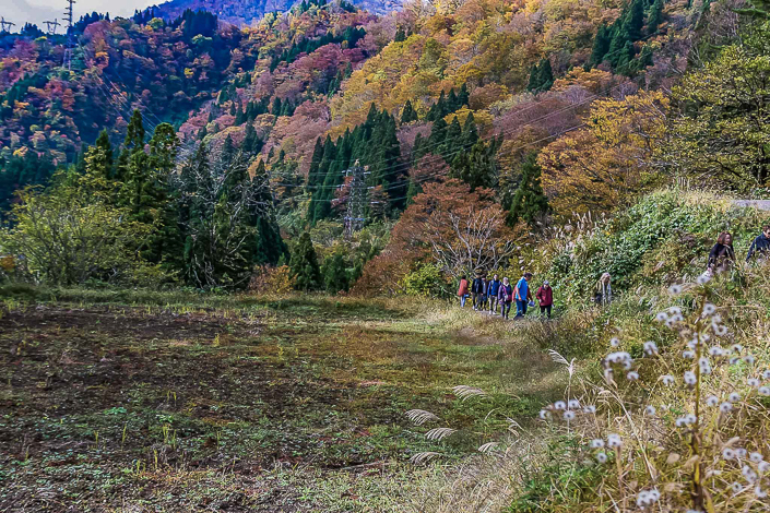 DSC_6388-1-1