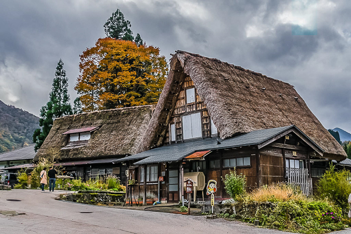 DSC_6441-1-1