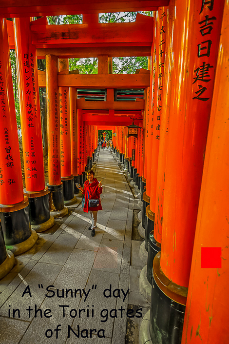 DSC_7551-1-Edit-1