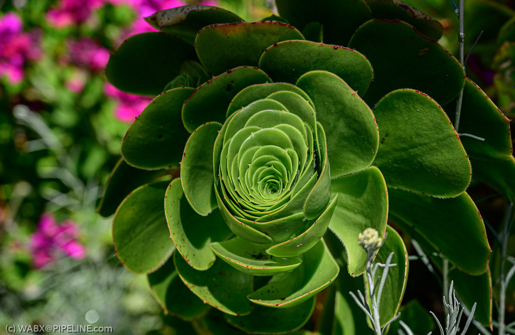 NZ6_0957