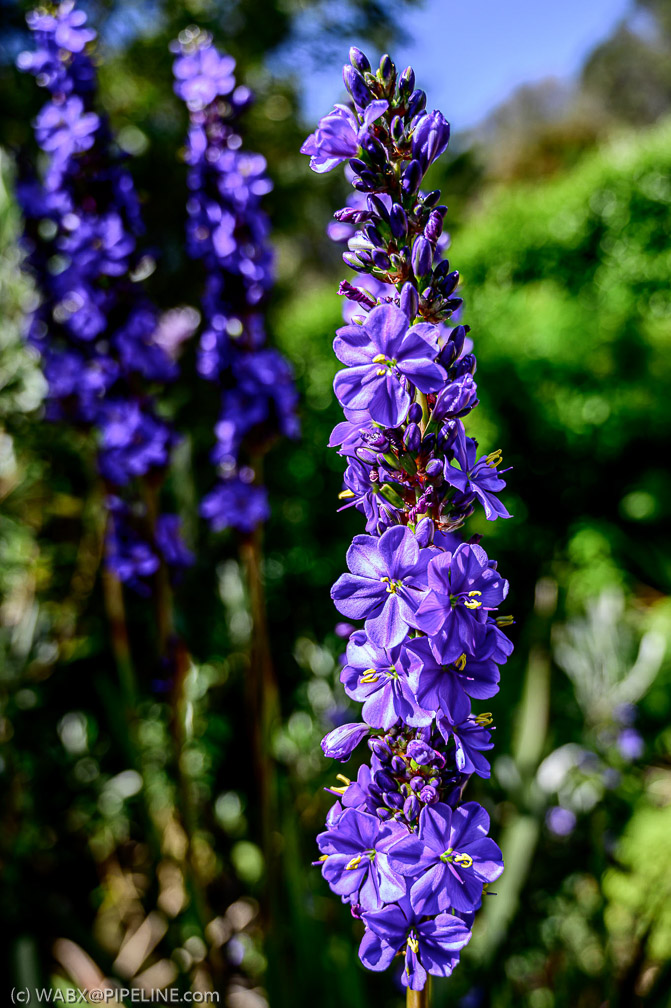 NZ6_0964