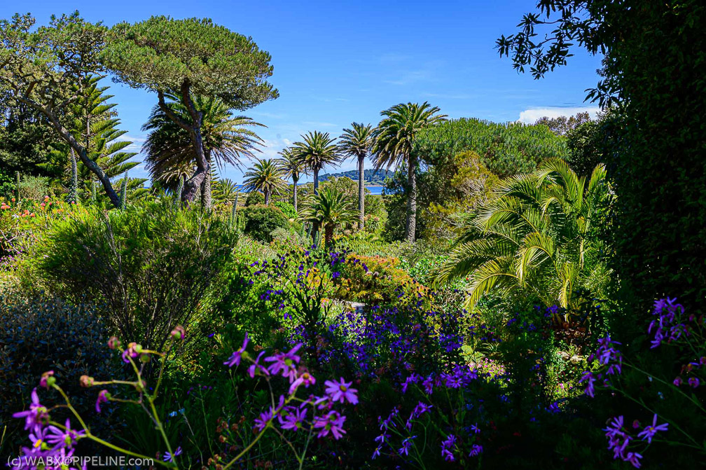 NZ6_1034