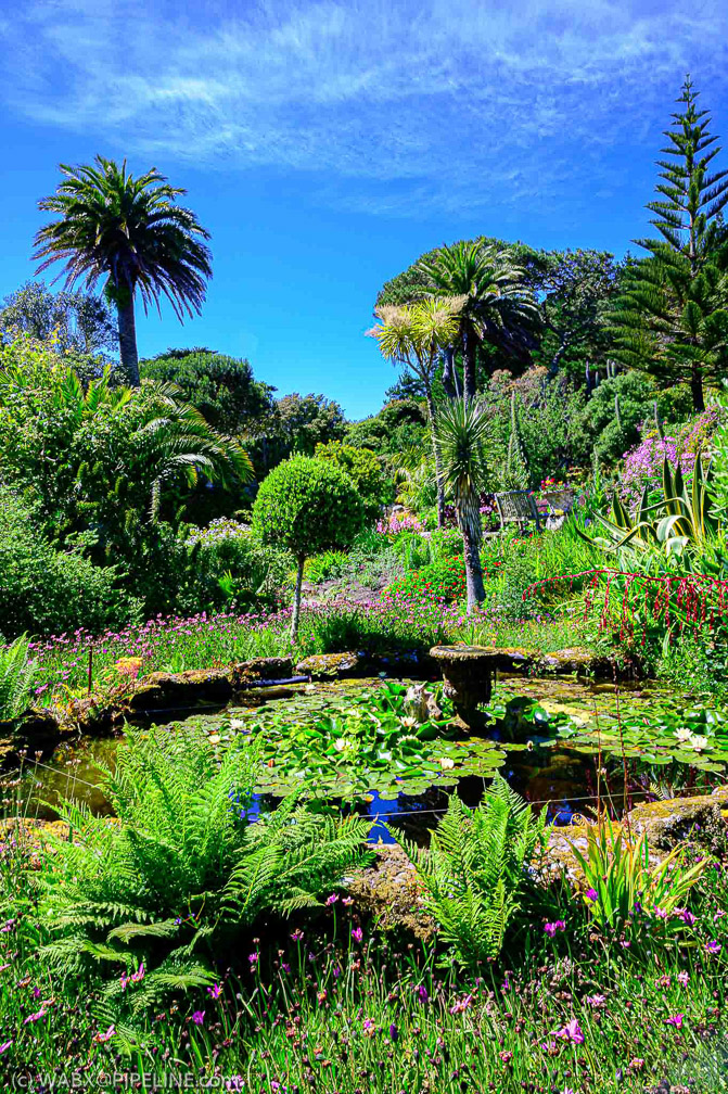 NZ6_1056