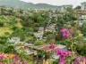 Click for larger image.